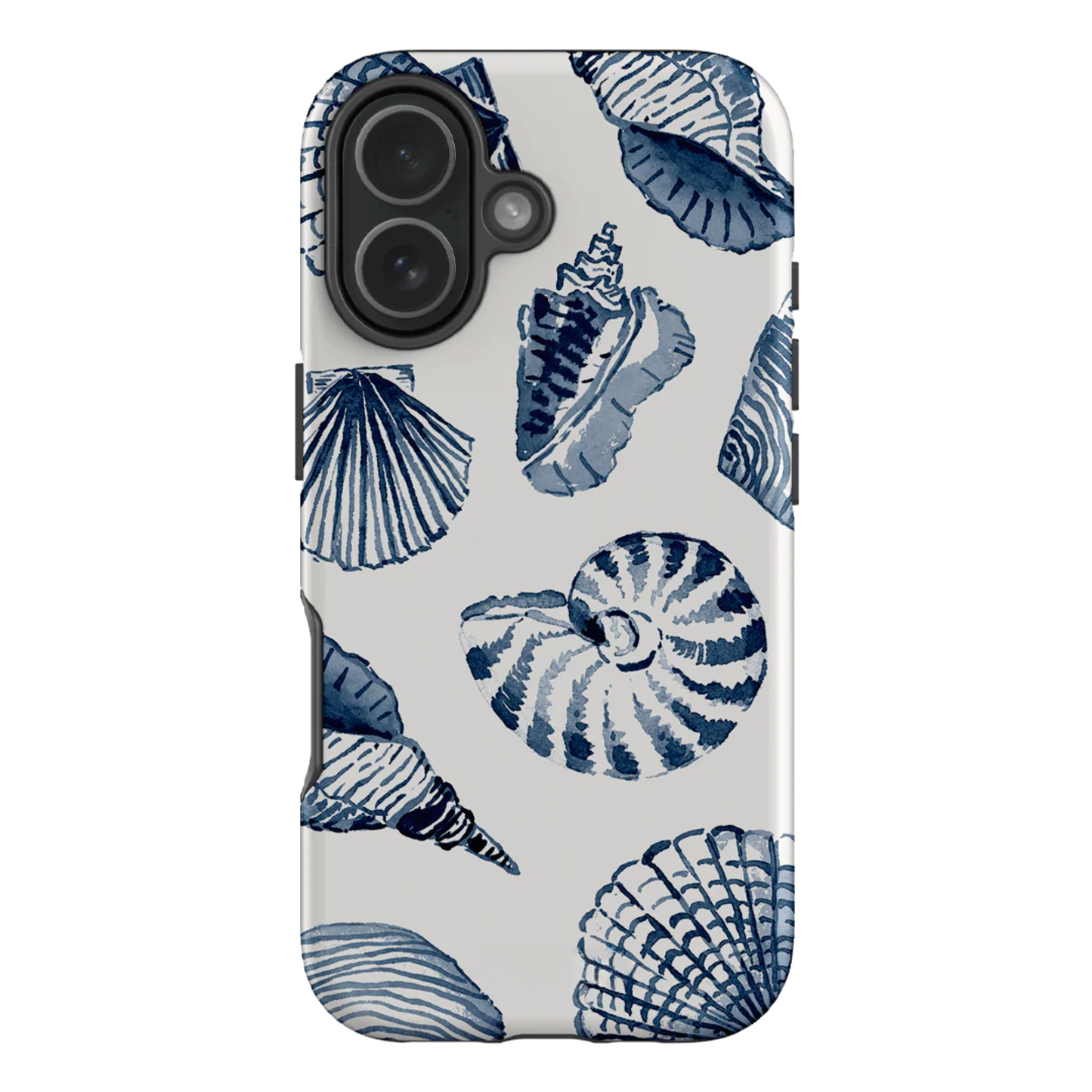 Beach Shells