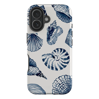 Beach Shells