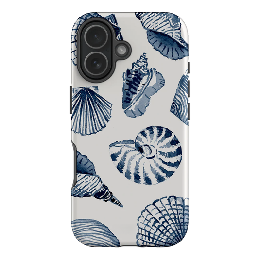 Beach Shells